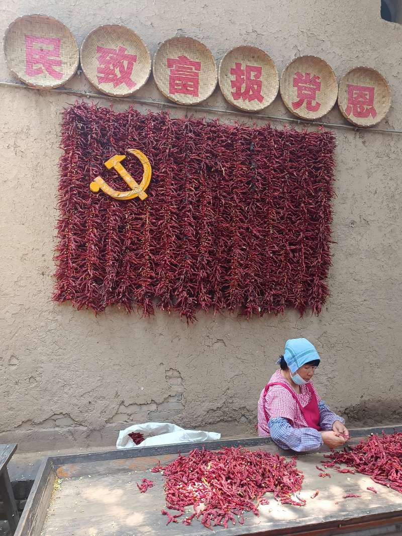 ̽Ѱ���� ��Ԭ������塪����Ϣ����ѧԺ���������� н���ഫ���������ʵ�����߽�Ԭ�Ҵ�