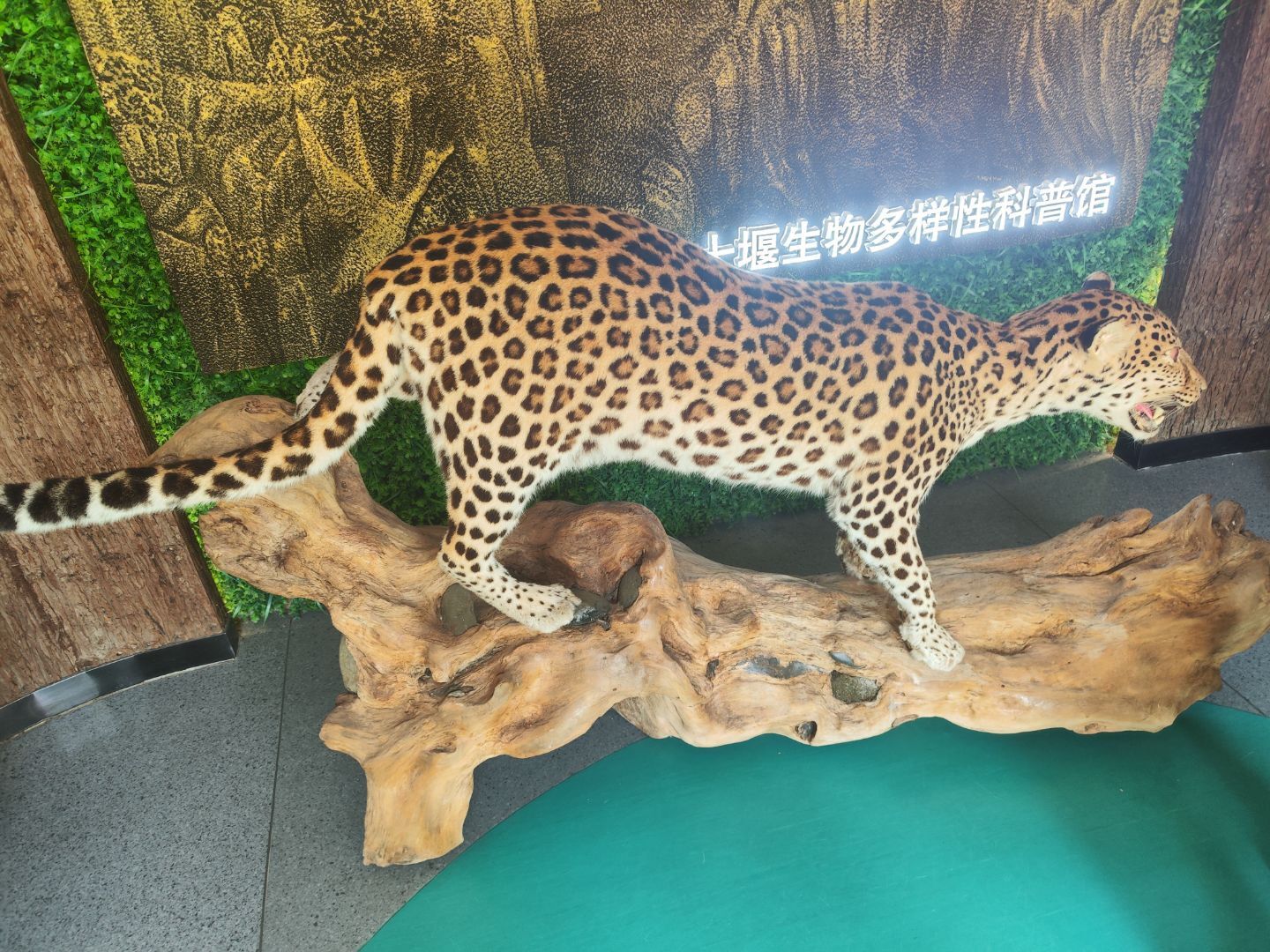 ε����������̬����־Ը������߽�ʮ������ҵ��������Կ��չ�