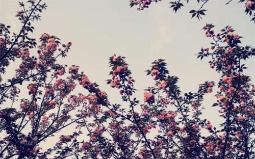 ӣ������֮Ѱ��