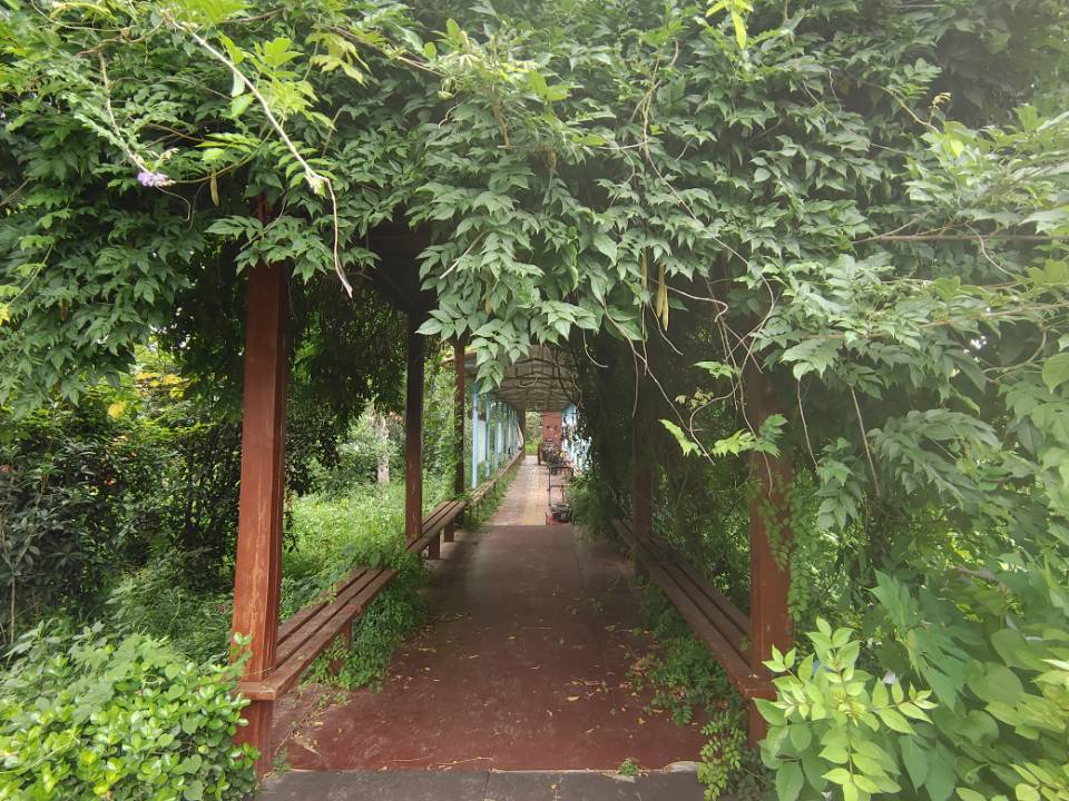 "�ഺ�ķ��ף���˳��ͬѧ����֧���Σ���ȼĸУ��������ѧУѧ����"