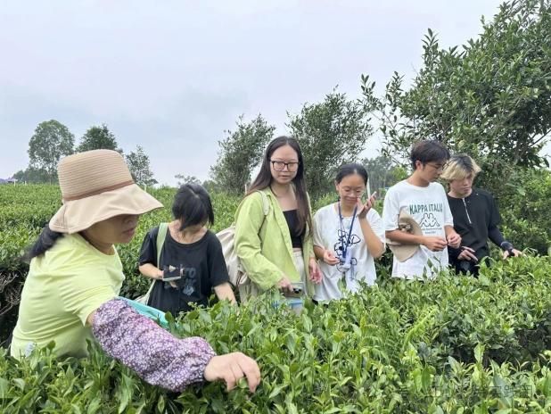 տ���Ƽ�ѧԺ���Ĳʻ�ʵ�����߽�ʯ�������ഺ���ʻ����������»���