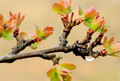 �ϵ۸���������һ˫��