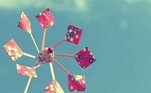 ��ѧ������Ŀ�������Ӧ����ô�����������أ�