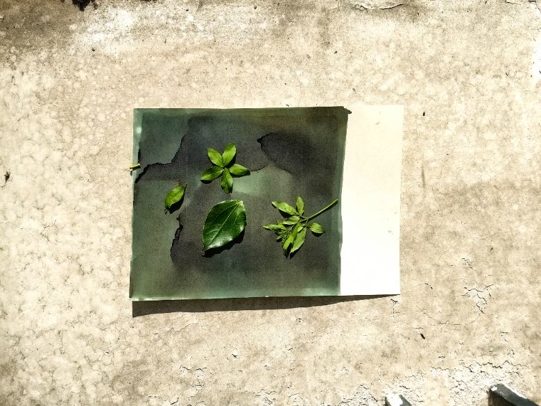 ��Ȼ�봴����ײ�������𻨡��������ƾ�ѧԺ֧���Ŷӿ�չ��ɫ�����γ�