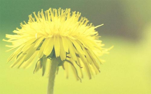 Ը���ǵ�����������