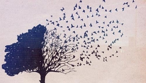 ��������֮ʱ����סǧ��Ҫ�����ֻ��侮��ʯ��