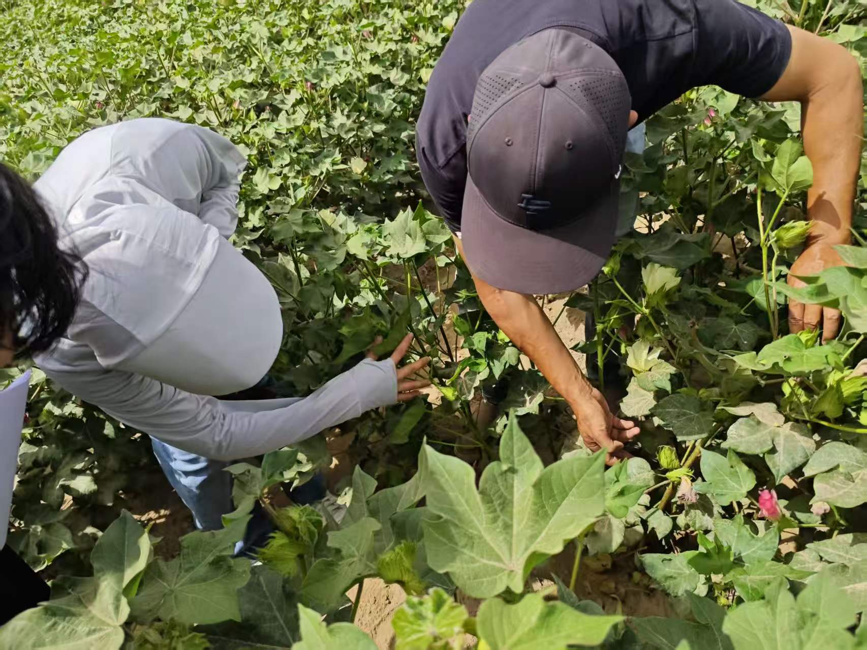 ���������������ʵ�� רҵ���������Ͻ���ҵ����