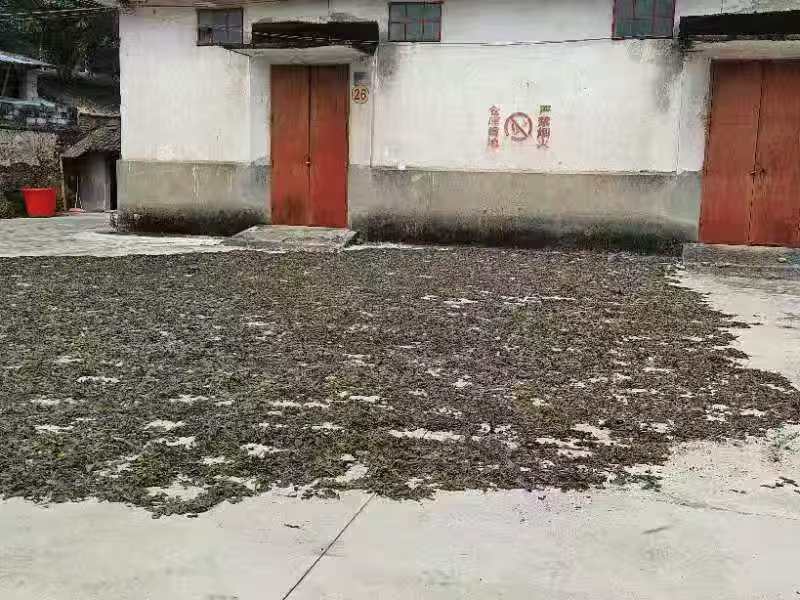����Ʈ���ҵ�� �ഺ����������������ֺ�Ժѧ�������������������������ʵ��