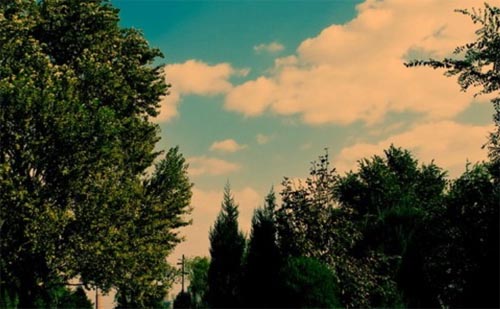�ҵ�����