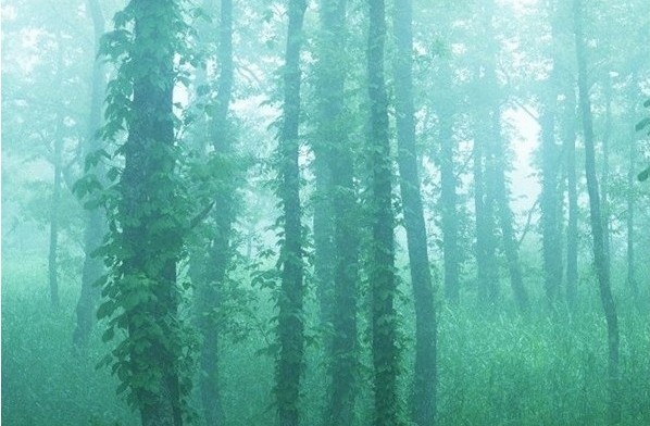 �Ϫɳ